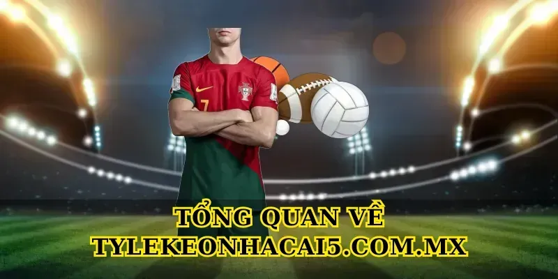 Tổng quan về Tylekeonhacai5.com.mx